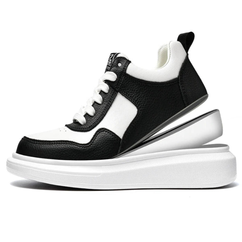 Black and white sneaker on a white background